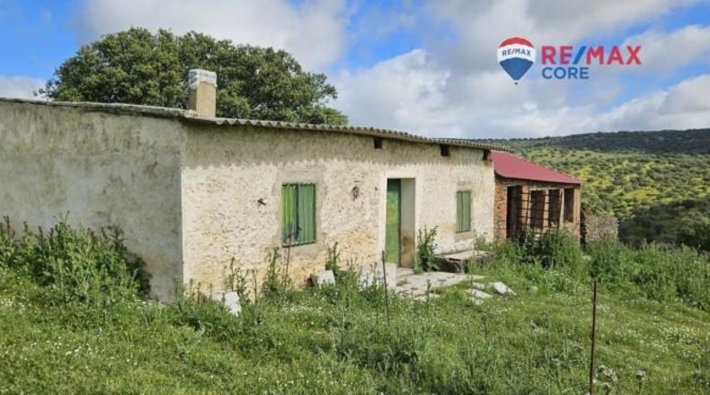 Badajoz - Siruela - 206000m2