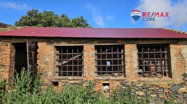 Badajoz - Siruela - 206000m2