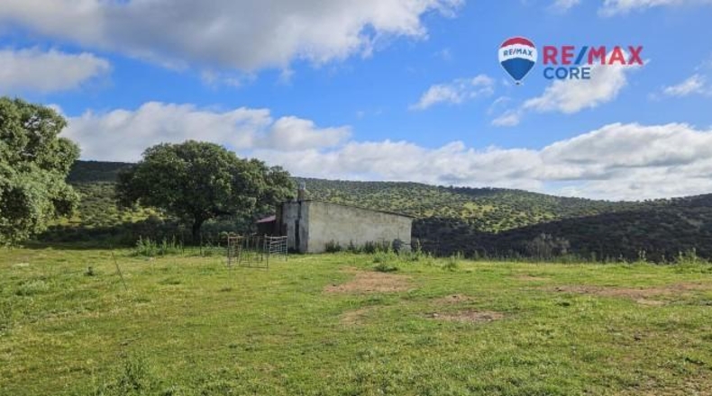 Badajoz - Siruela - 206000m2