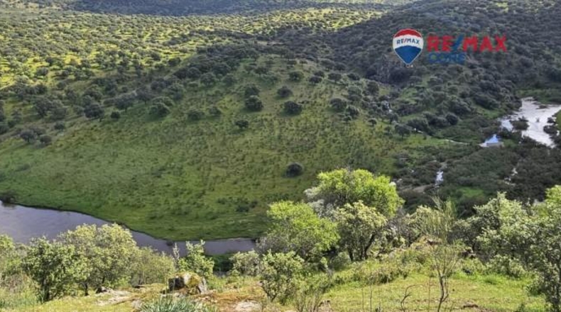 Badajoz - Siruela - 206000m2