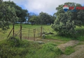 Stone house with land for sale on España, Siruela, ref: TR398934 photo