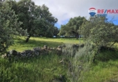 Stone house with land for sale on España, Siruela, ref: TR398934 photo