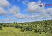Stone house with land for sale on España, Siruela, ref: TR398934 photo