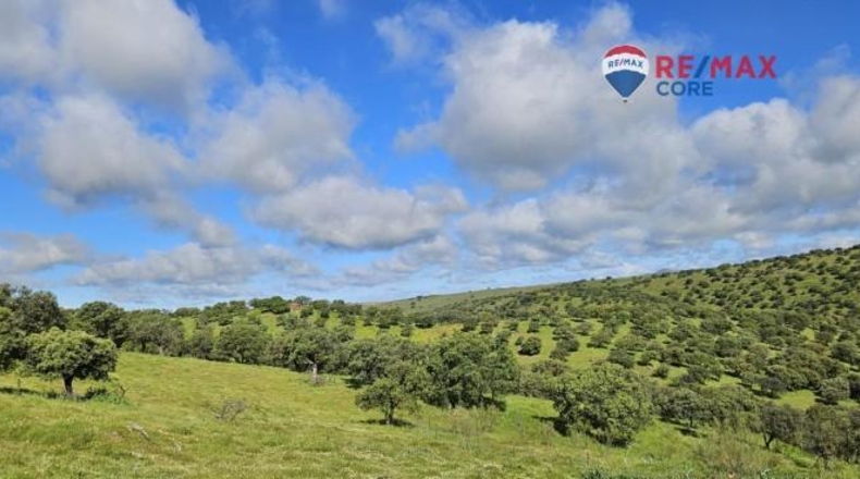 Badajoz - Siruela - 206000m2