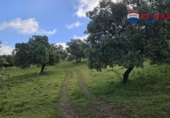 Stone house with land for sale on España, Siruela, ref: TR398934 photo