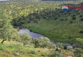 Stone house with land for sale on España, Siruela, ref: TR398934 photo