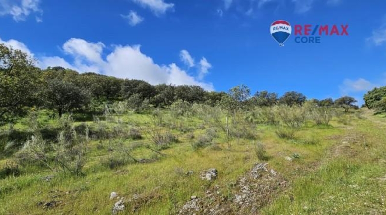 Badajoz - Siruela - 206000m2
