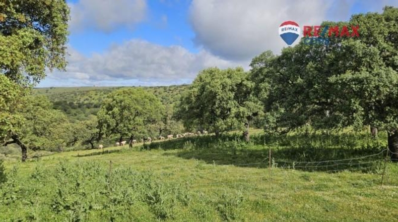 Badajoz - Siruela - 206000m2