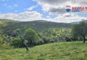 Stone house with land for sale on España, Siruela, ref: TR398934 photo