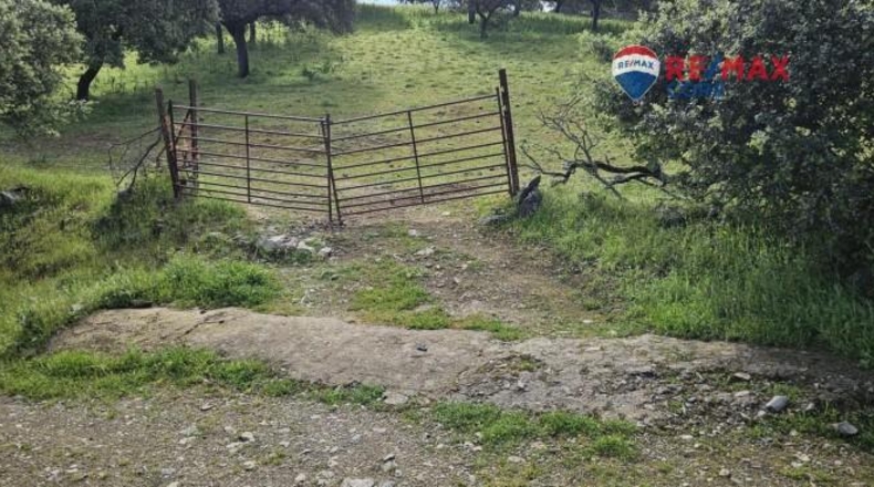 Badajoz - Siruela - 206000m2