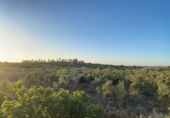 Terreno no urbanizable en venta en la España, Bormujos, ref: TR405691 foto