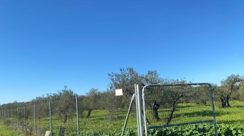 Sevilla - Bormujos - 11914m2