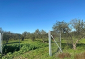 Terreno no urbanizable en venta en la España, Bormujos, ref: TR405691 foto