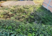 Suelo urbano en venta en la España, Carme, ref: TR176648 foto
