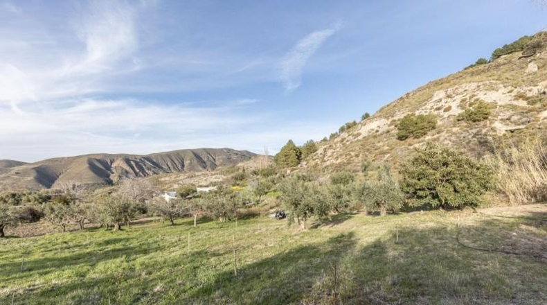 Granada - Monachil - 38673m2