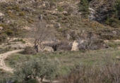 Terreny no urbanitzable en venda a la España, Monachil, ref.: TR238621 foto