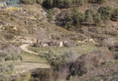 Terreno no urbanizable en venta en la España, Monachil, ref: TR236844 foto