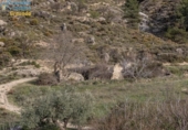 Terreno no urbanizable en venta en la España, Monachil, ref: TR236844 foto
