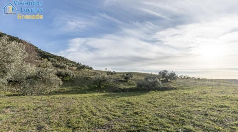 Granada - Monachil - 38673m2
