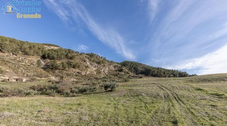 Granada - Monachil - 38673m2