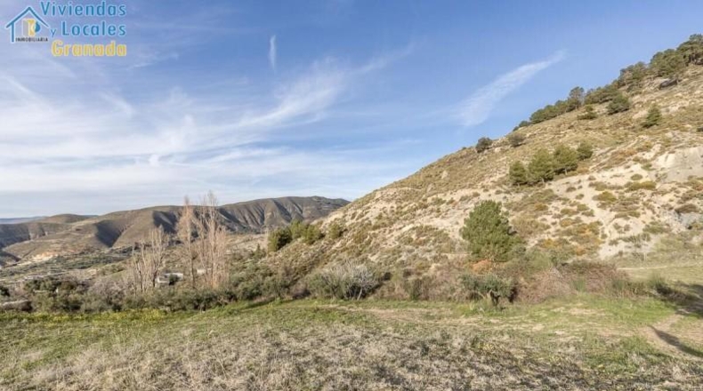 Granada - Monachil - 38673m2