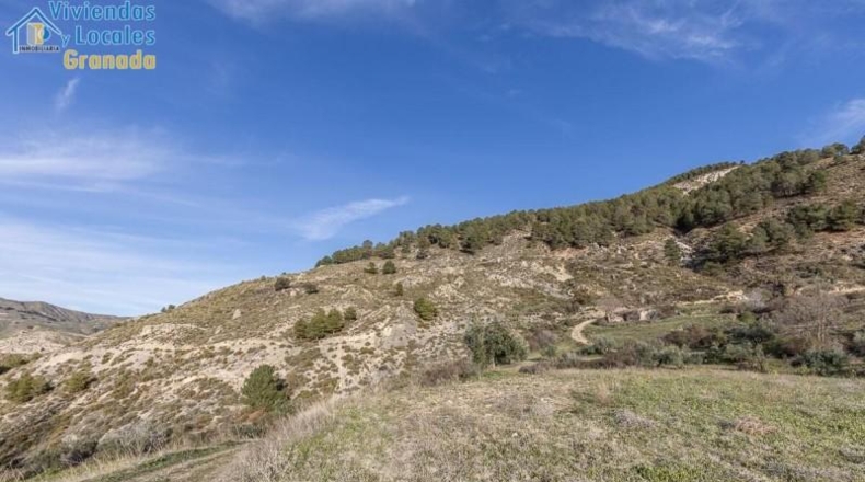 Granada - Monachil - 38673m2