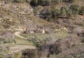 Terreno no urbanizable en venta en la España, Monachil, ref: TR236846 foto