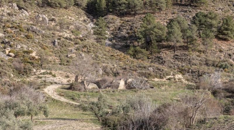 Granada - Monachil - 38673m2