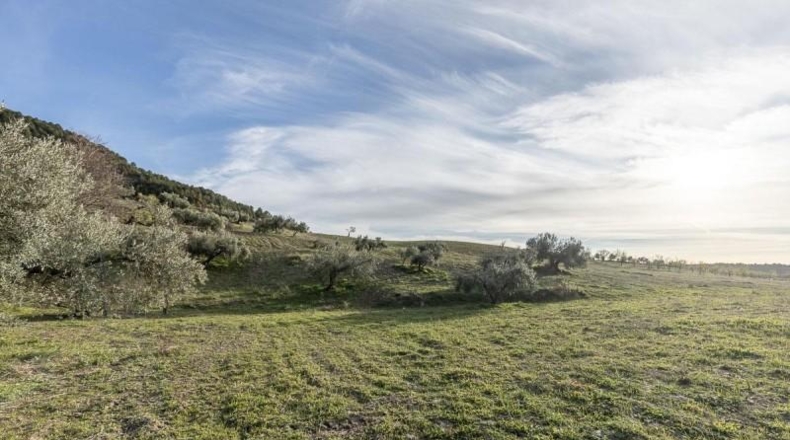Granada - Monachil - 38673m2