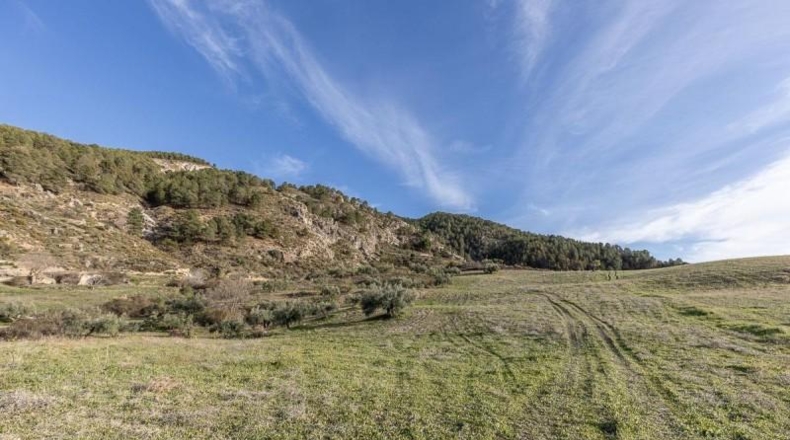 Granada - Monachil - 38673m2