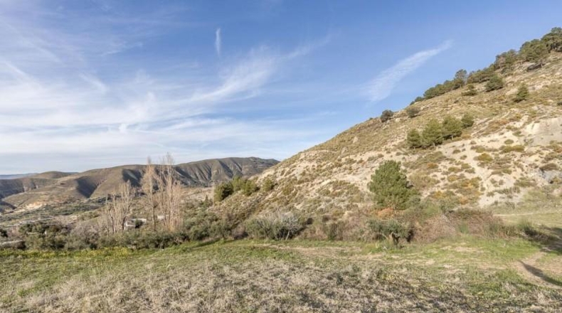 Granada - Monachil - 38673m2