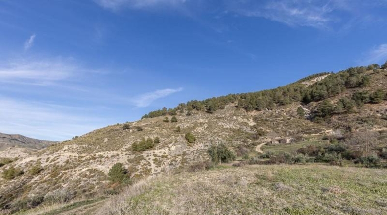 Granada - Monachil - 38673m2