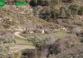 Terreno no urbanizable en venta en la España, Monachil, ref: TR381381 foto