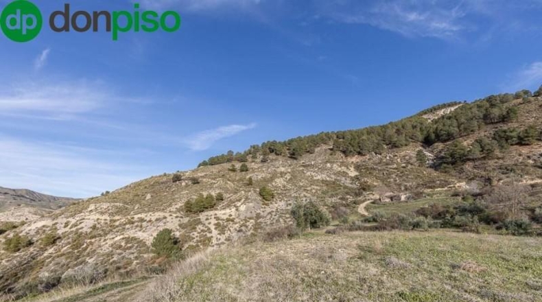 Granada - Monachil - 38673m2