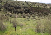 Detached villa with land for sale on España, Víznar, ref: TR409576 photo
