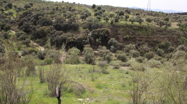 Granada - Víznar - 113000m2