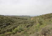 Detached villa with land for sale on España, Víznar, ref: TR409576 photo