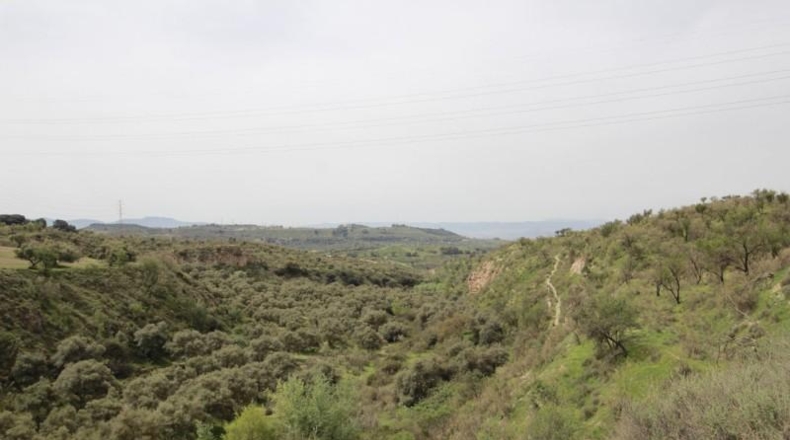 Granada - Víznar - 113000m2
