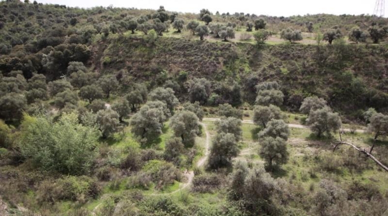 Granada - Víznar - 113000m2
