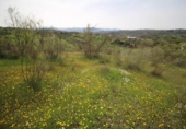 Detached villa with land for sale on España, Víznar, ref: TR409576 photo
