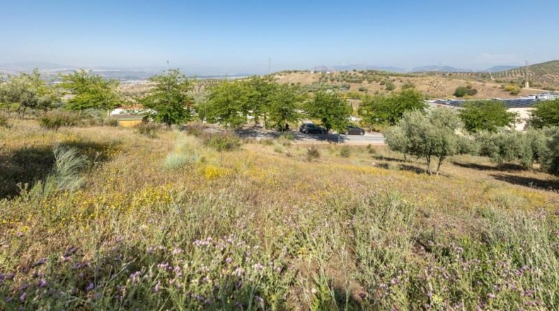 Granada - Alfacar - 895m2