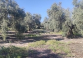 Terreno no urbanizable en venta en la España, Lucena, ref: TR245763 foto
