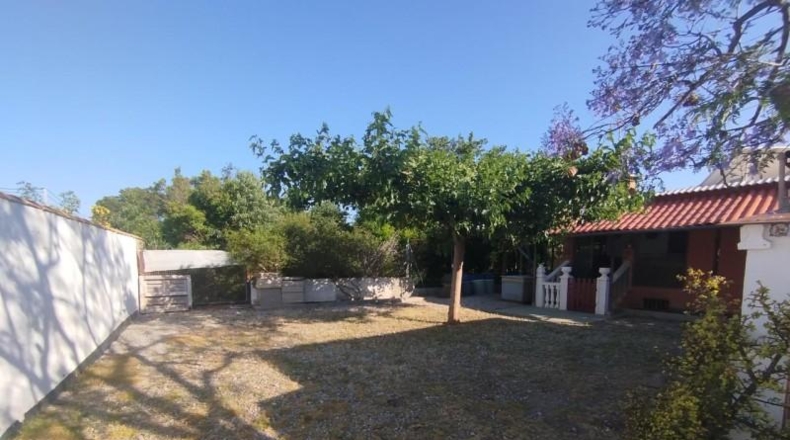 Castellon - Burriana - 2493m2