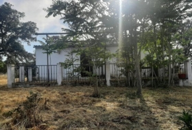 Foto 15