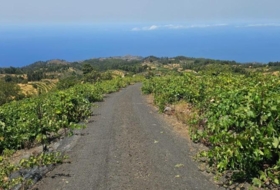 Puntagorda 7500&nbsp;m²