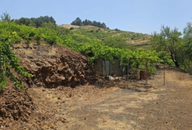Puntagorda 7500&nbsp;m²