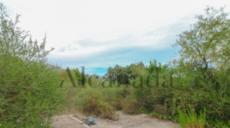 Balearic Islands - Pollensa - 1600m2