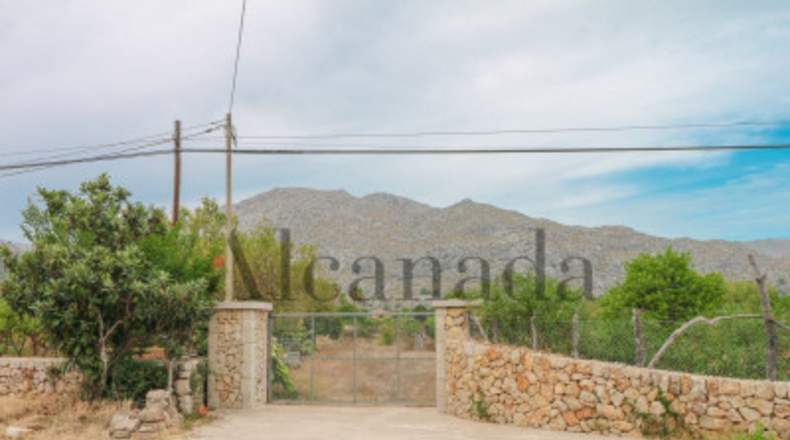 Balearic Islands - Pollensa - 1600m2