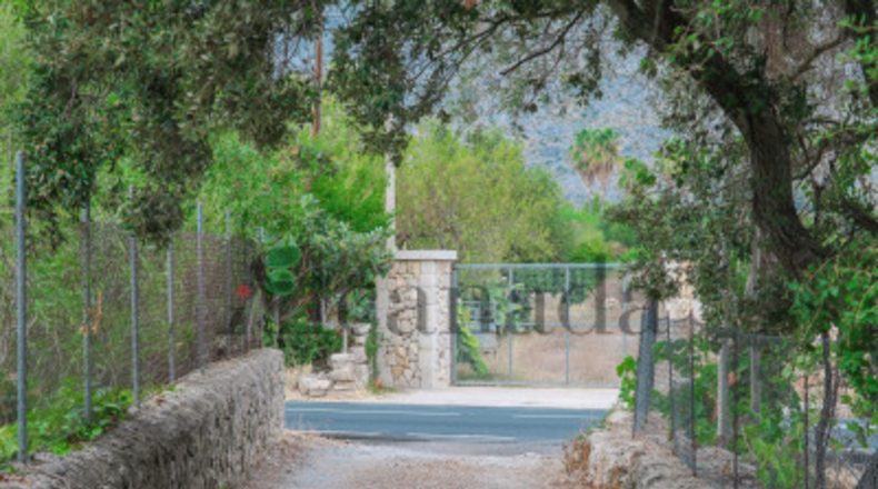 Balearic Islands - Pollensa - 1600m2