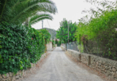 Terreno no urbanizable en venta en la España, Puerto de Pollensa, ref: TR113162 foto